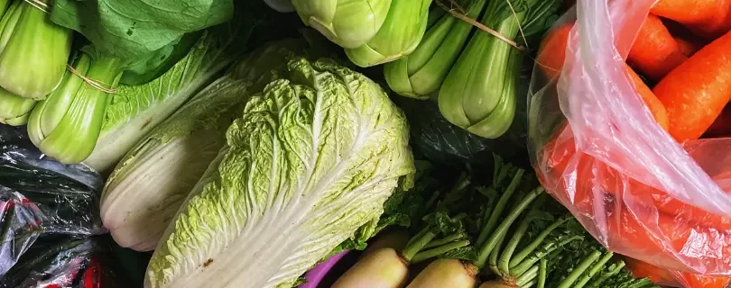 Ilustrasi berbagai macam sayur