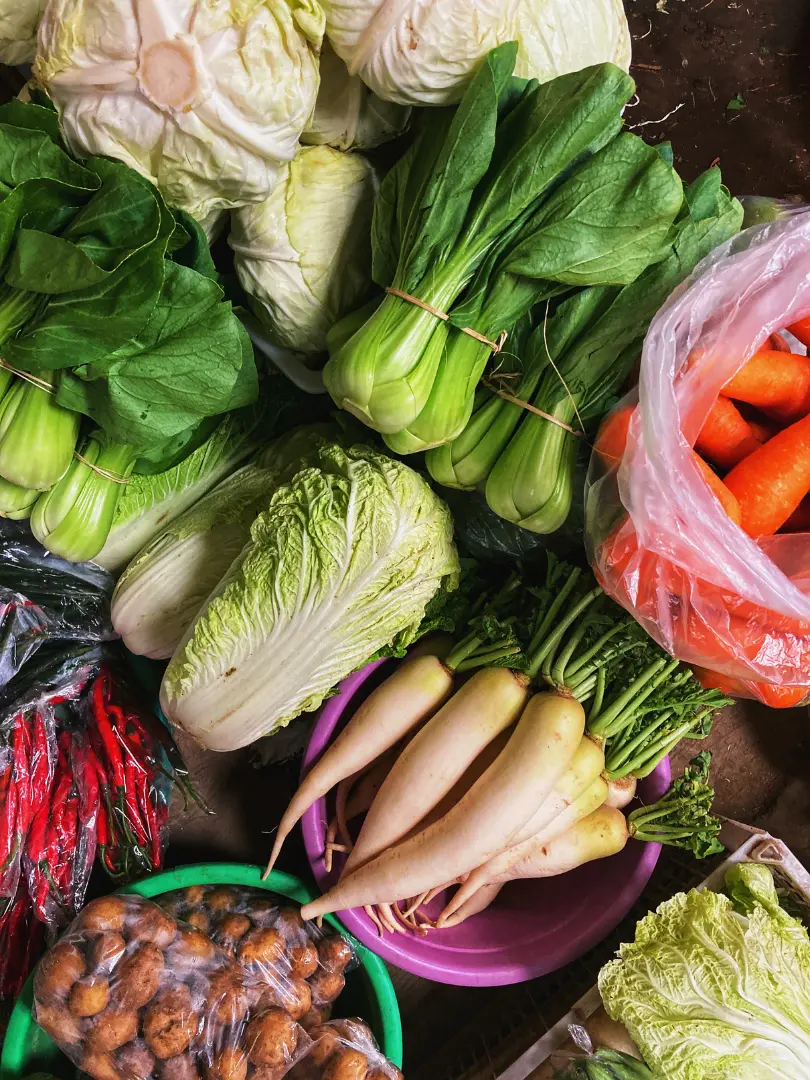 Ilustrasi berbagai macam sayur